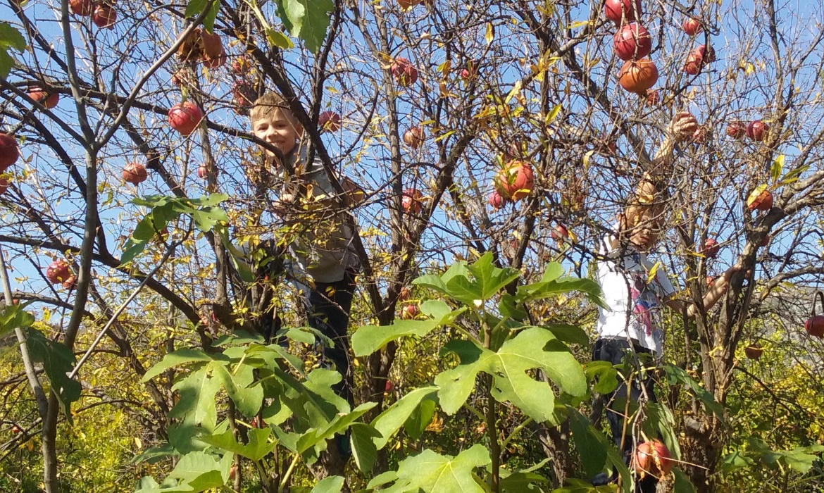 Kad se ljubav dogodi