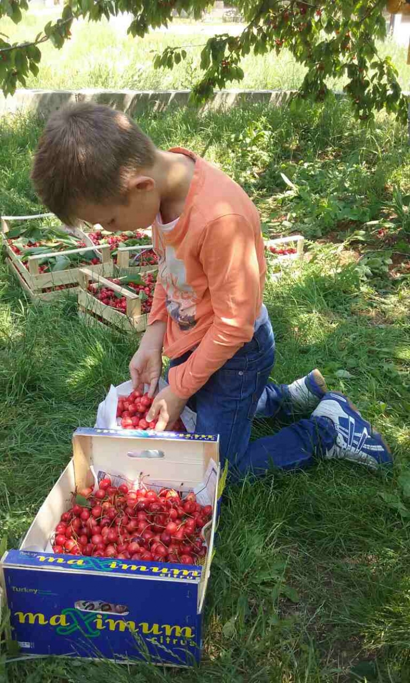 S prijateljima u Rodoču