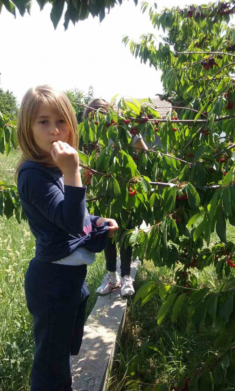 S prijateljima u Rodoču