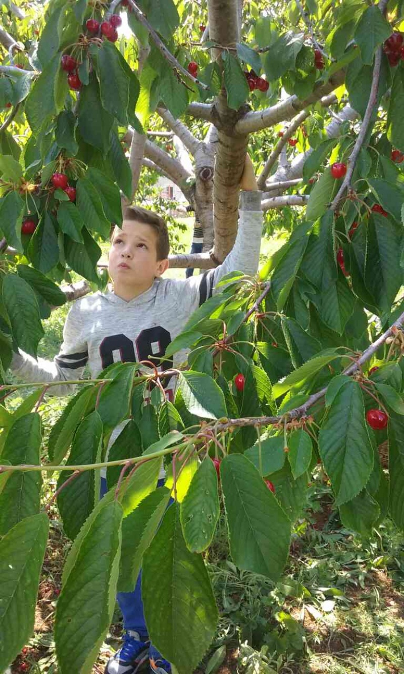 S prijateljima u Rodoču