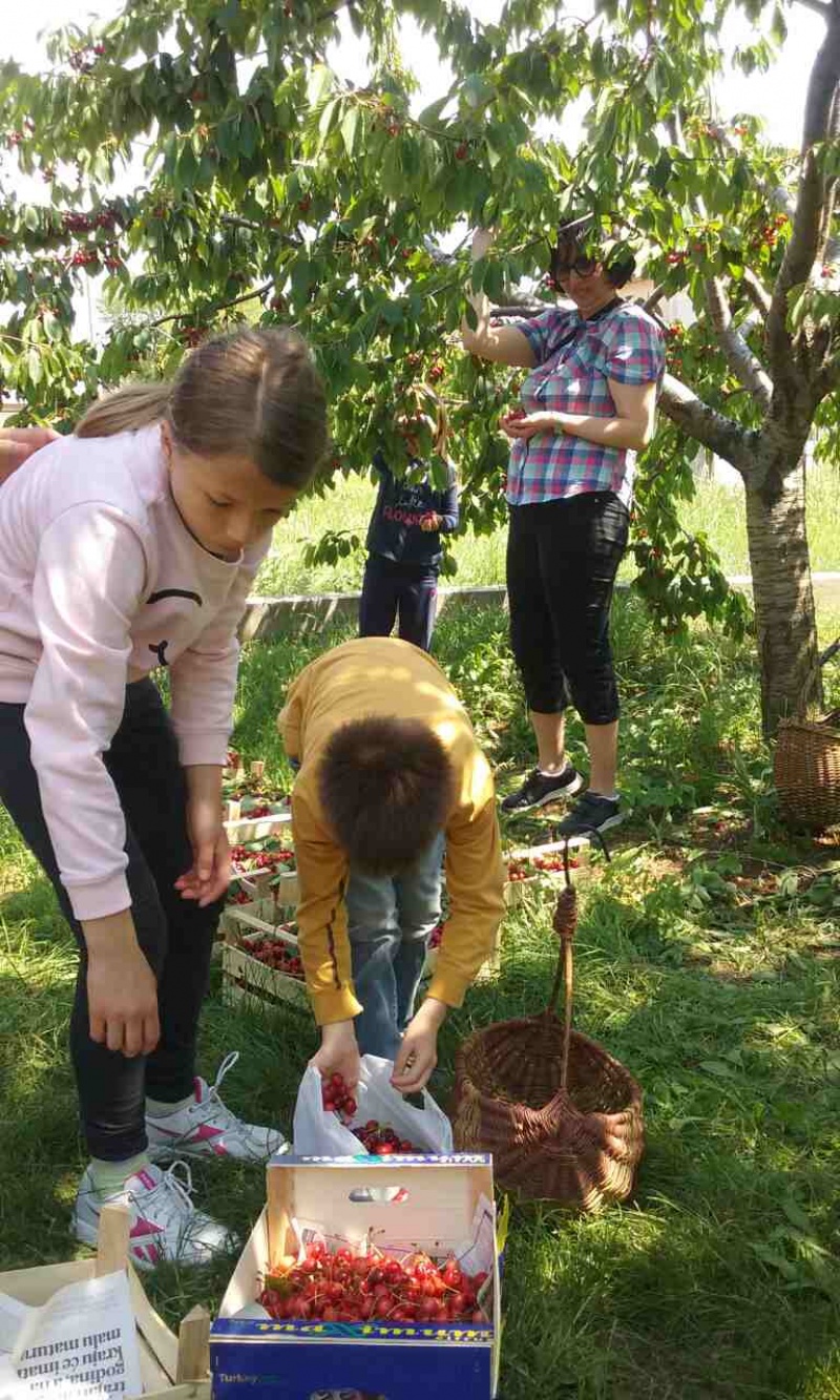 S prijateljima u Rodoču