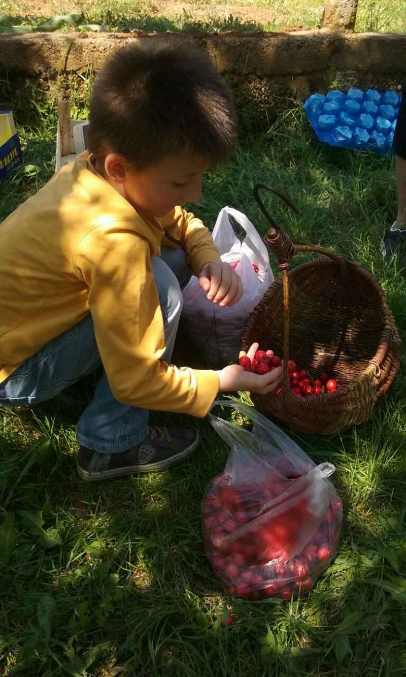 S prijateljima u Rodoču