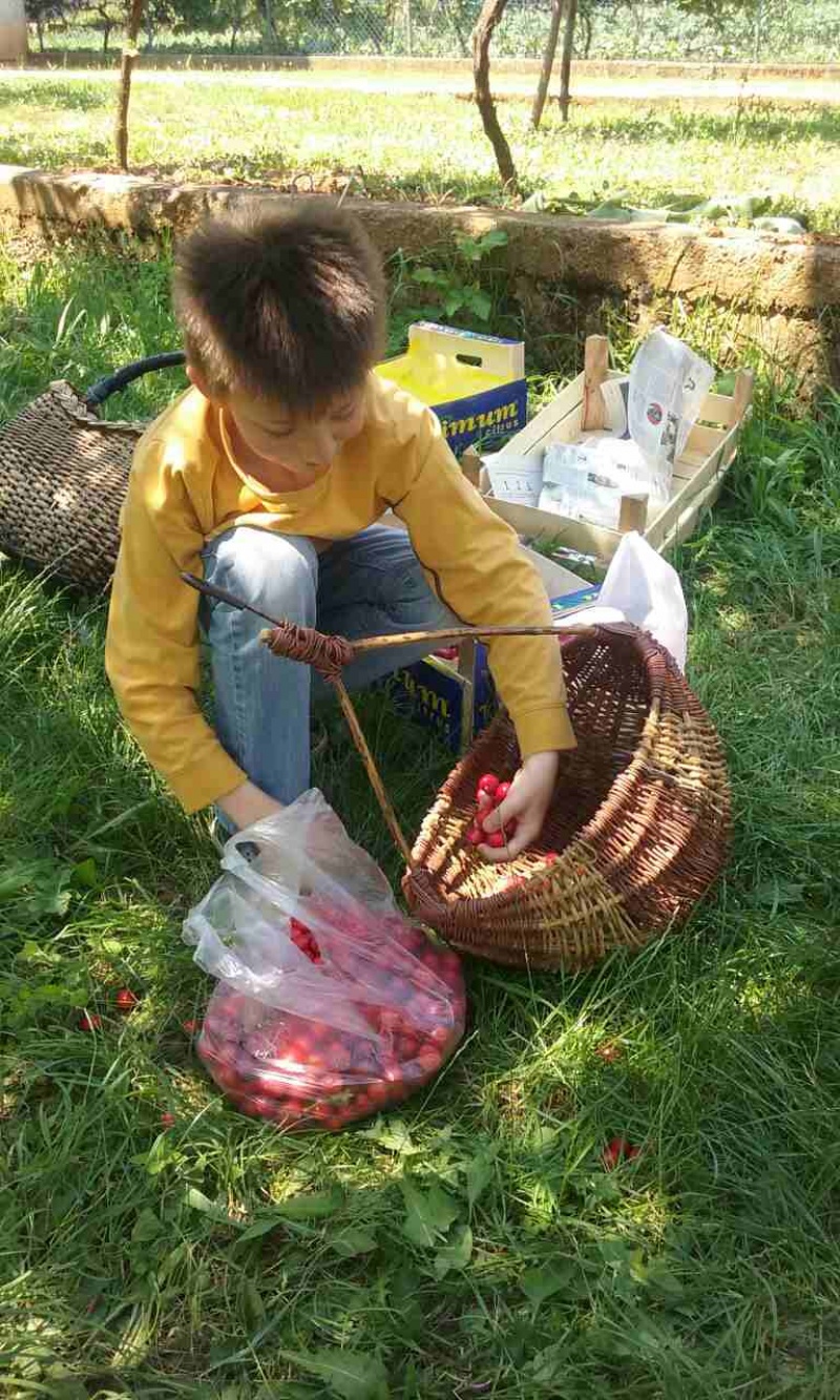 S prijateljima u Rodoču