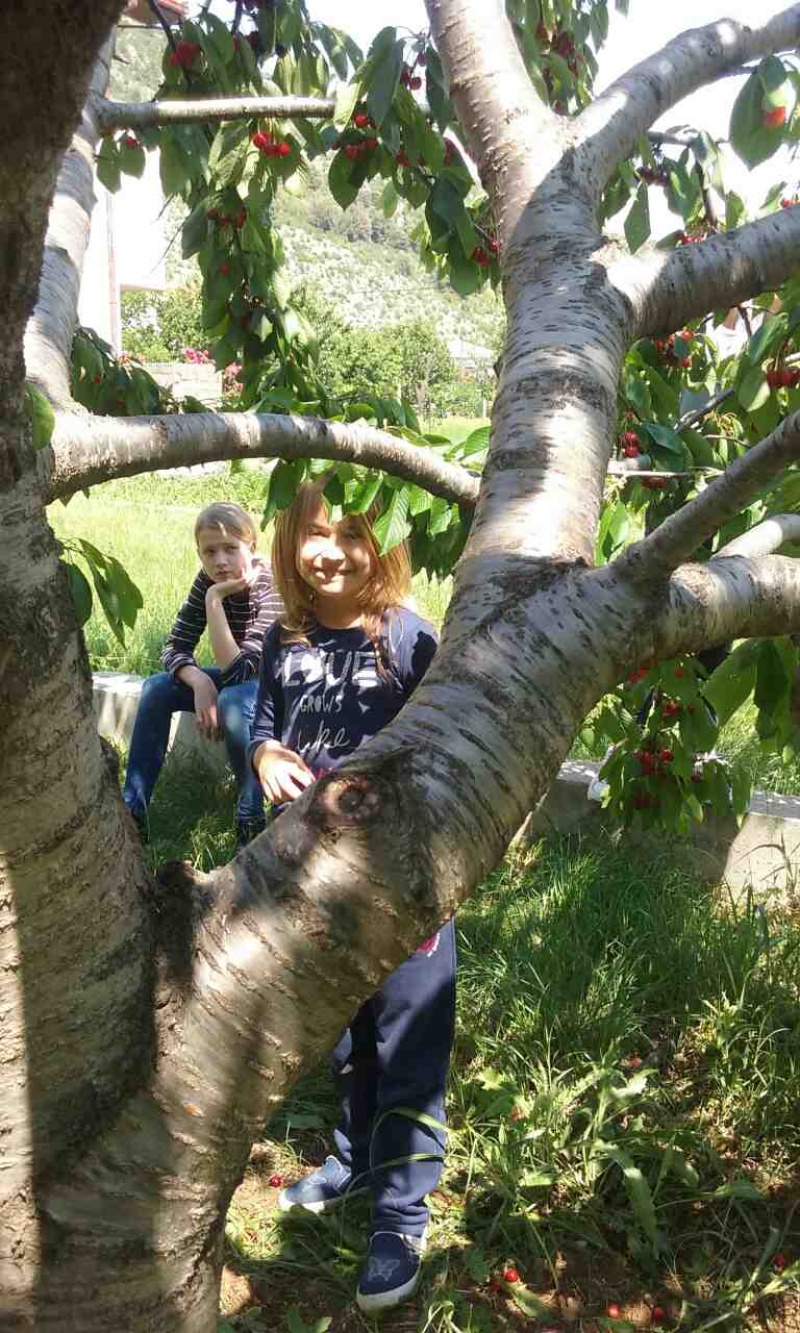 S prijateljima u Rodoču