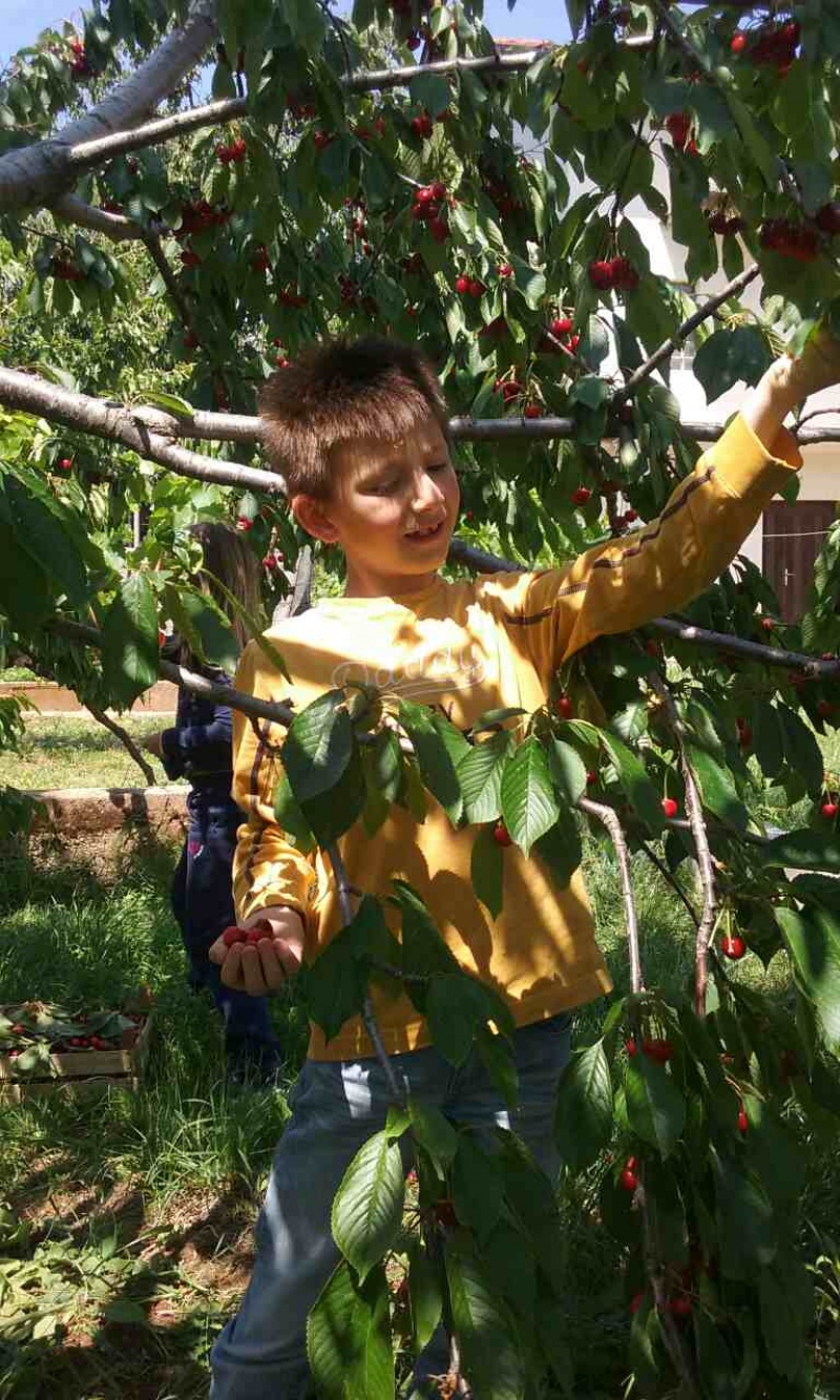 S prijateljima u Rodoču