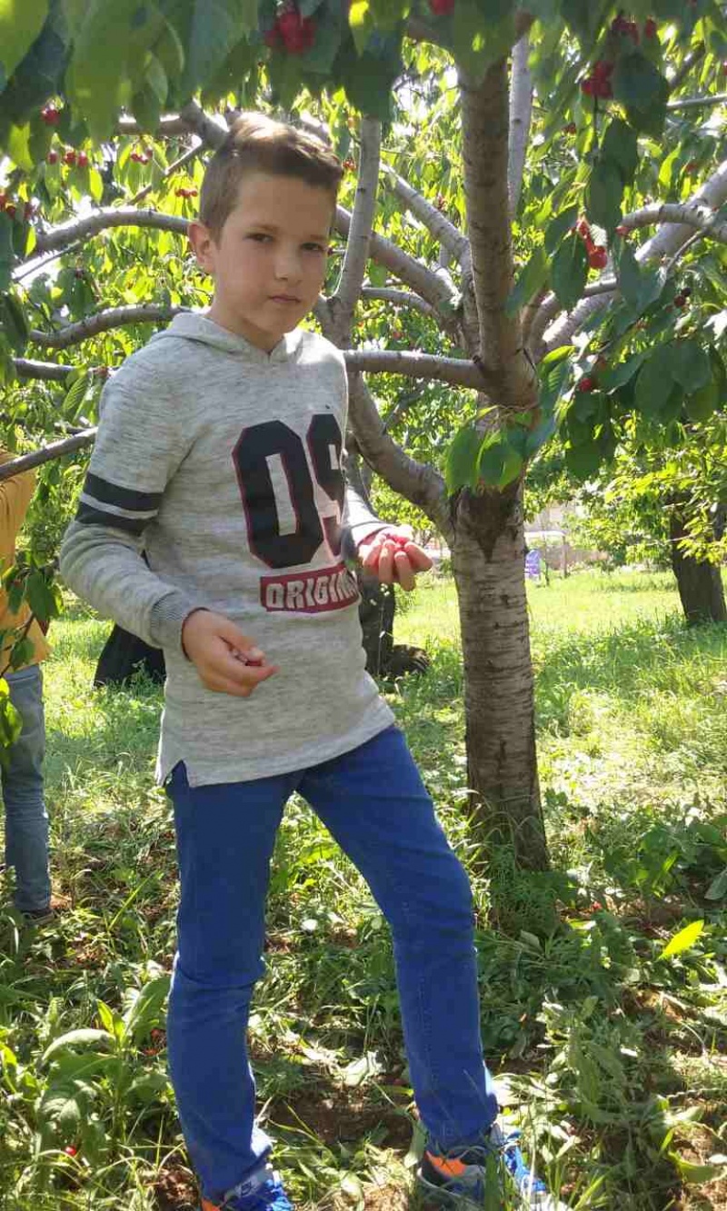 S prijateljima u Rodoču