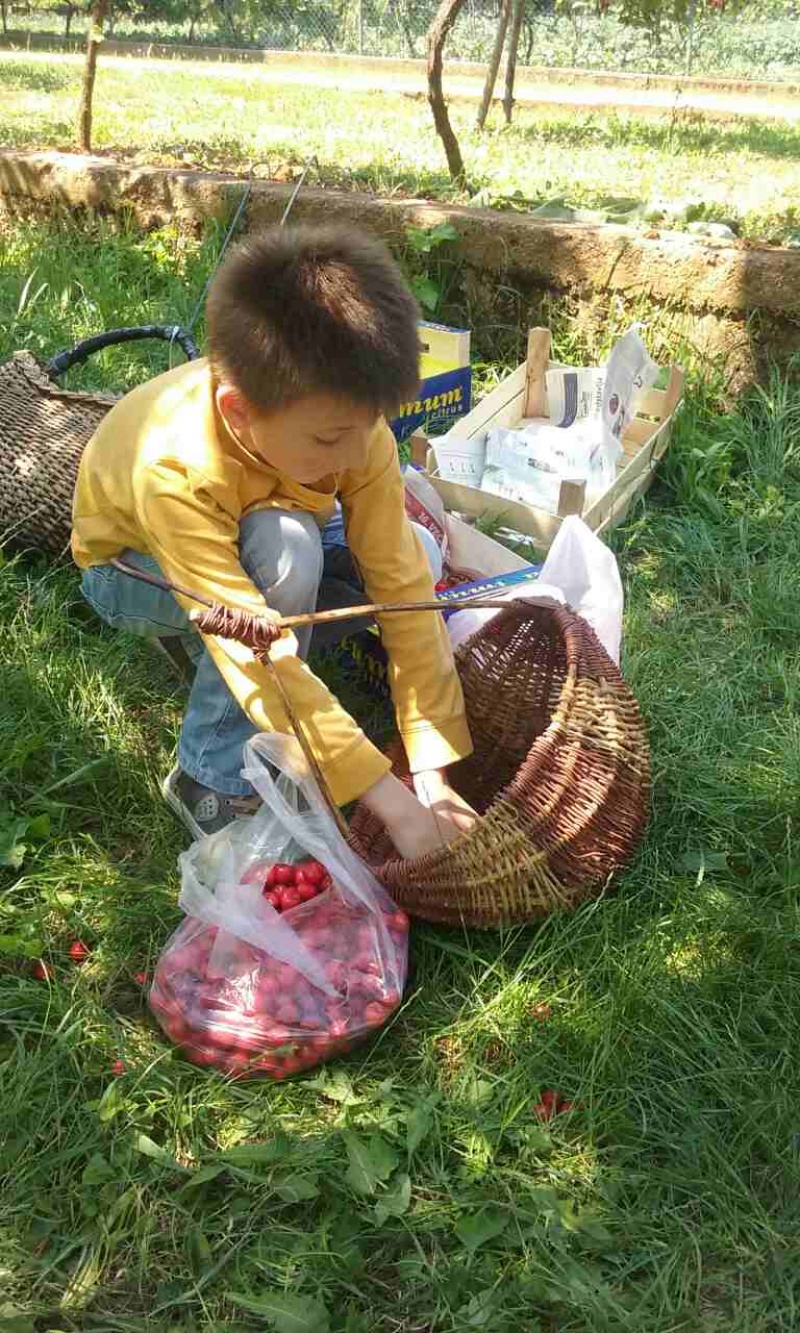 S prijateljima u Rodoču