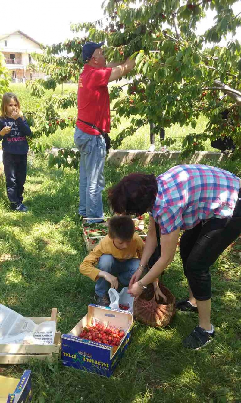 S prijateljima u Rodoču