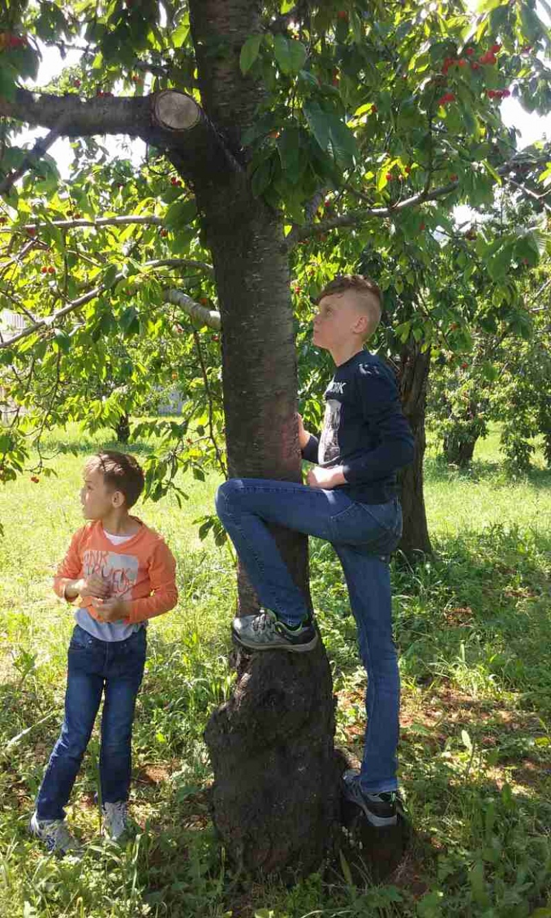 S prijateljima u Rodoču