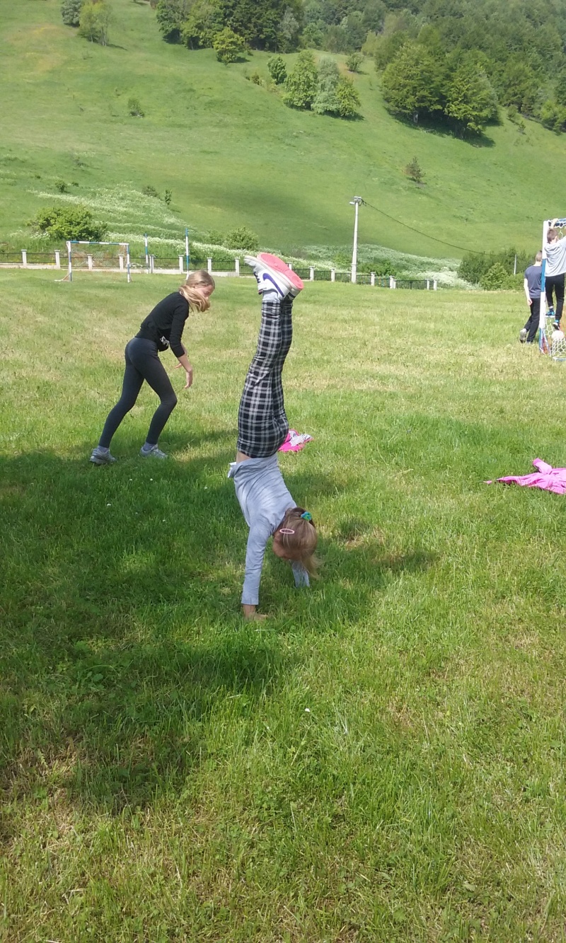 Druženje u Borovici – međunarodna likovna kolonija