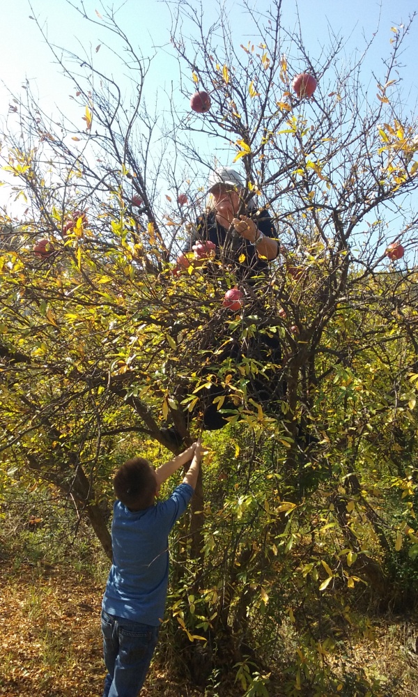 Kad se ljubav dogodi