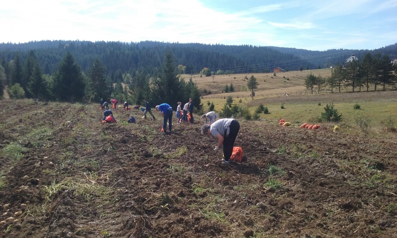 Blagoslov čovjekovog rada