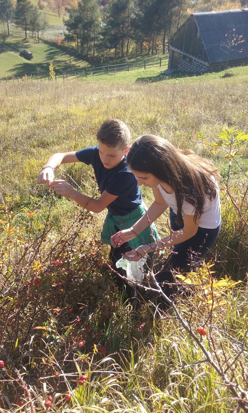Blagoslov čovjekovog rada