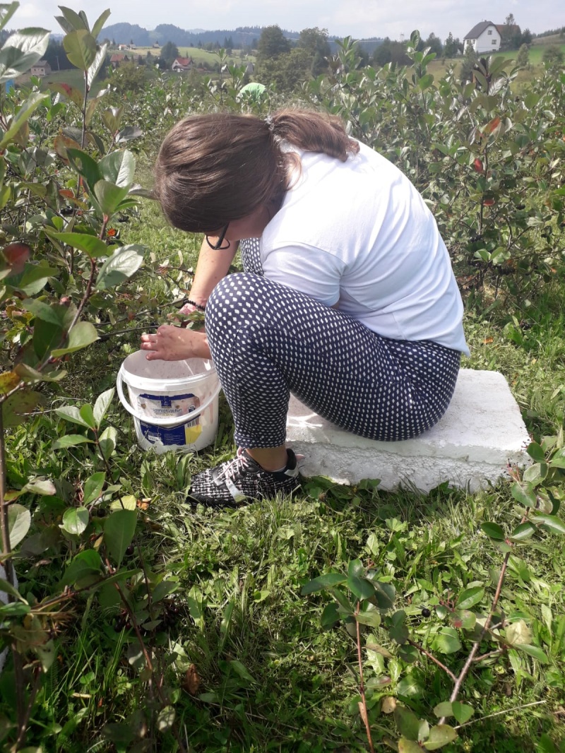 Blagoslov čovjekovog rada