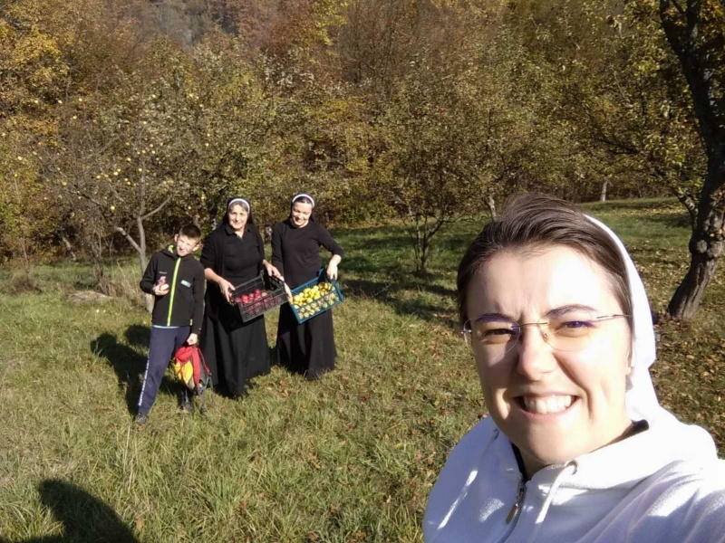 Berba jabuka u Kraljevoj Sutjesci