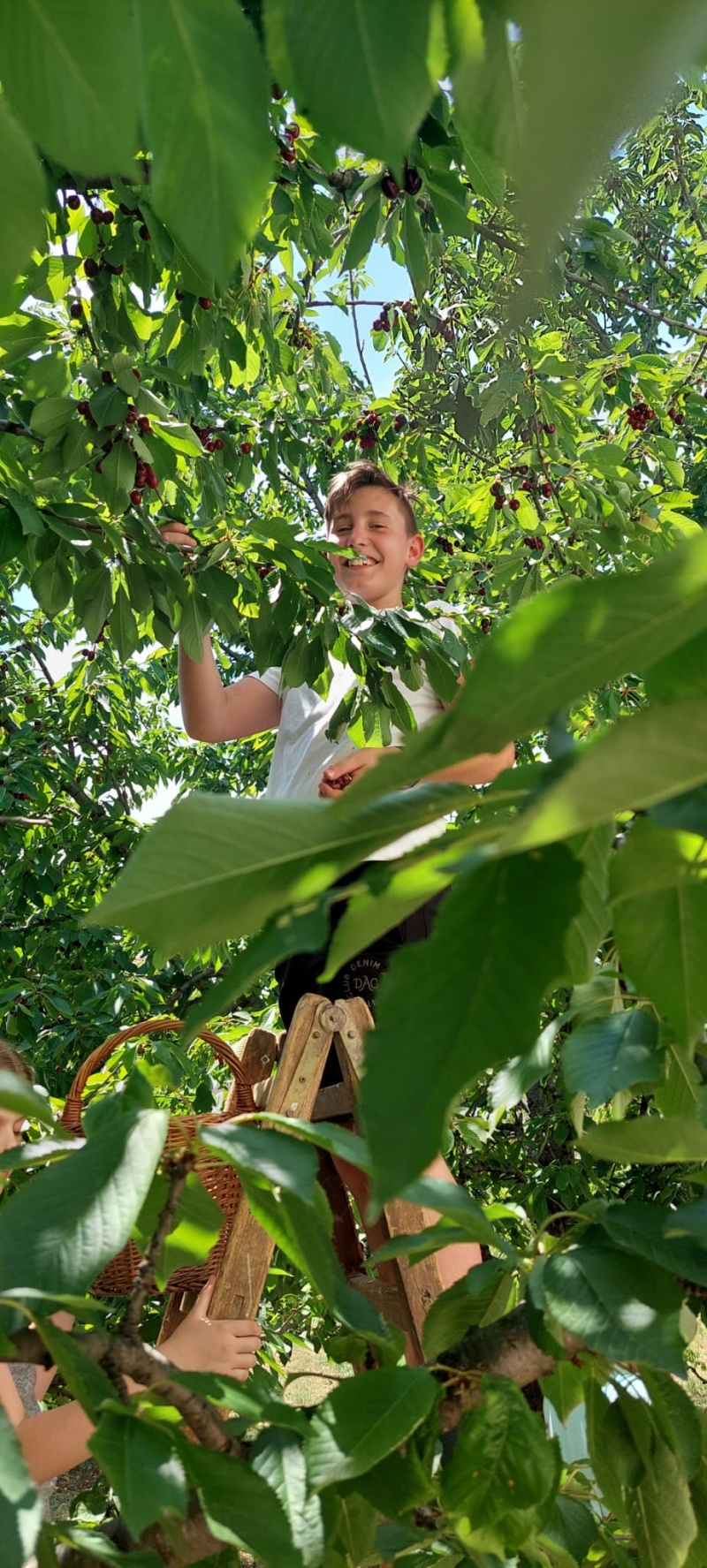 Susretom osvježena rodočka sparina