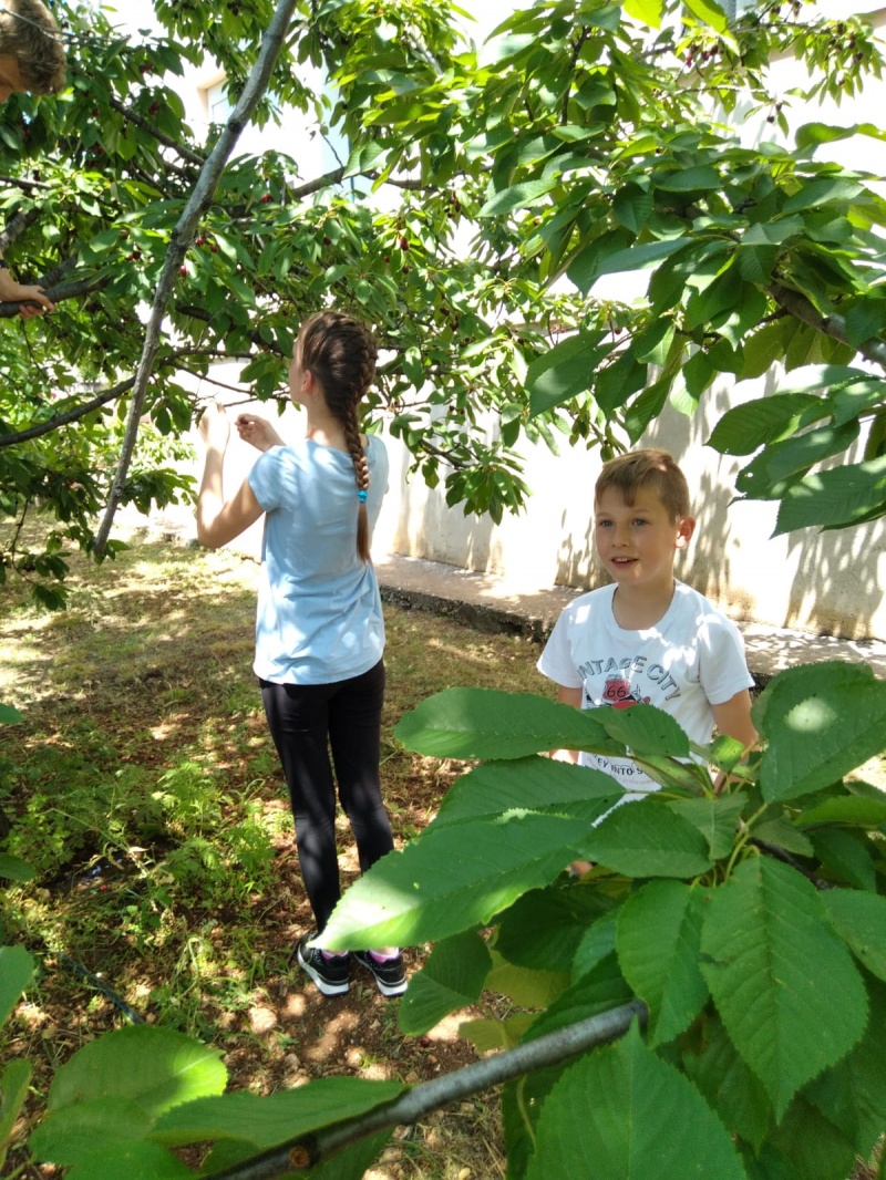 Susretom osvježena rodočka sparina